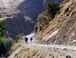 Doğu'da atlar ulaşımın vazgeçilmezi